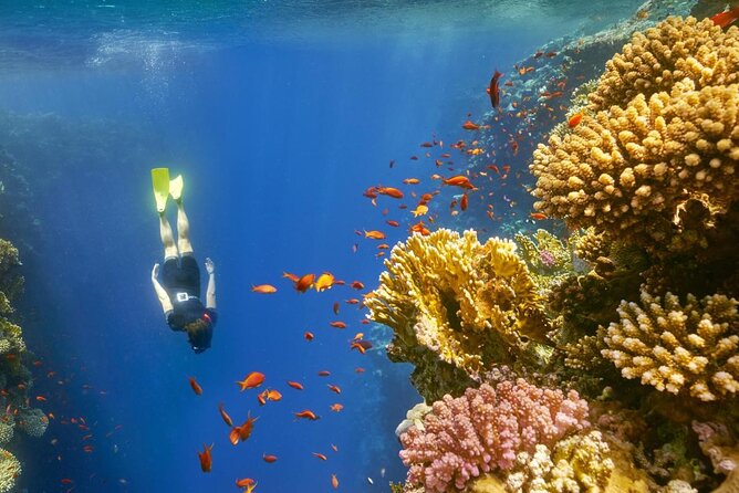 Private Tour a Dahab & Snorkeling al Blue Hole 2024