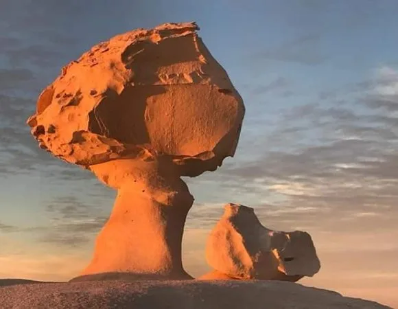 Day Trip To Bahariya Oasis And White Desert From Cairo