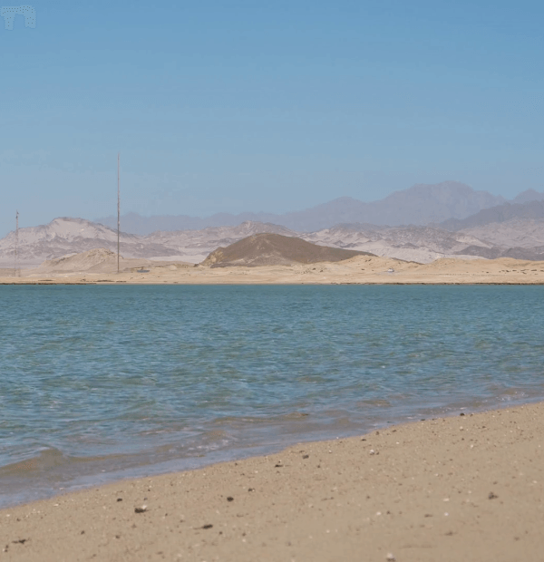 Ras Mohammed National Park & White Island By Boat OR BY BUS