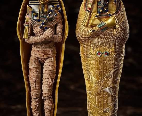 Tutankhamun: The Boy Pharaoh and the Secrets of His Astonishing Tomb​