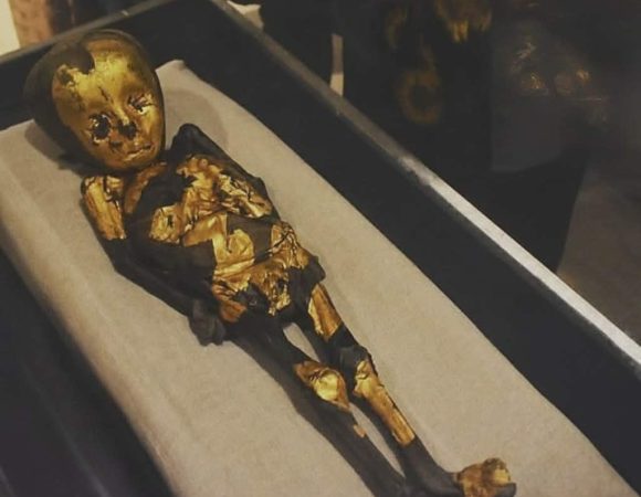 ​Small Faces, Eternal Dreams