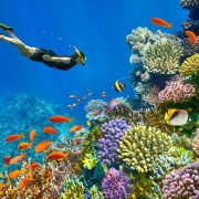 Sharm El Sheikh to Dahab Day Trip with Blue Hole and Colored Canyon