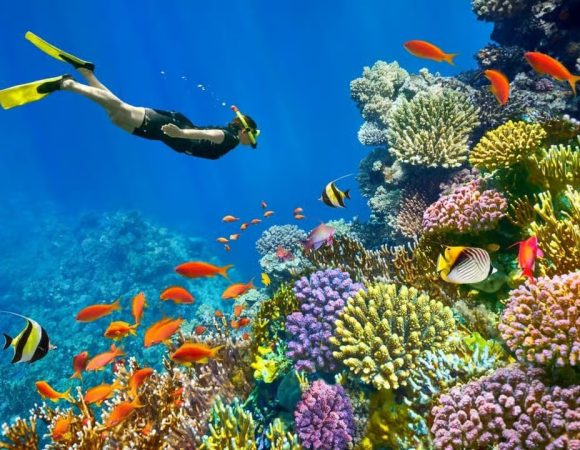 Sharm El Sheikh to Dahab Day Trip: Blue Hole, Colored Canyon, Camel Ride and Desert Adventure