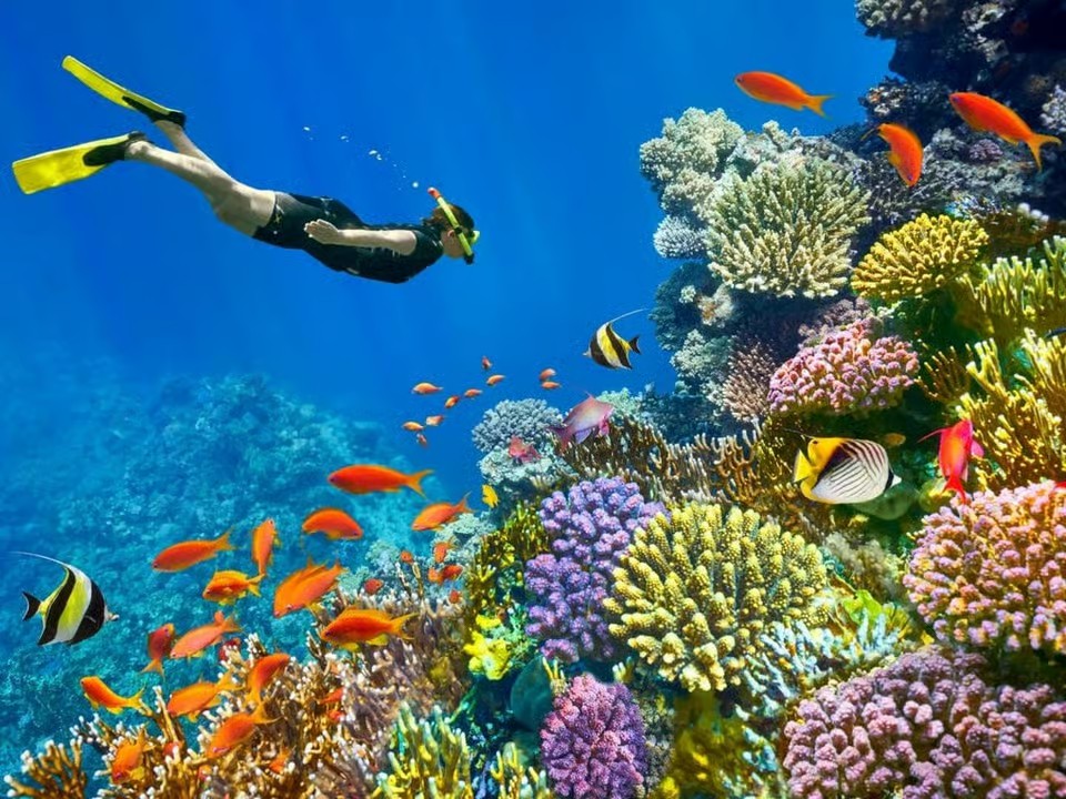 Sharm El Sheikh to Dahab Day Trip with Blue Hole and Colored Canyon
