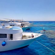 Marsa Alam Samadai Dolphin House Snorkeling and Diving Tour
