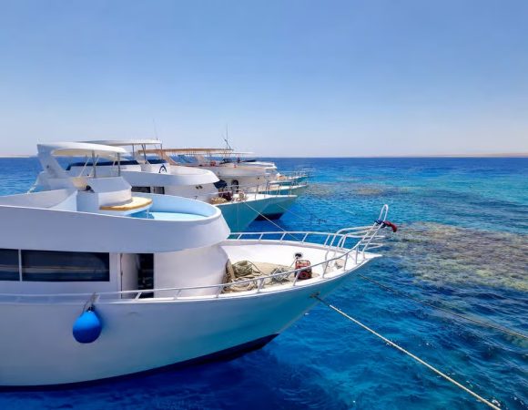 Marsa Alam Samadai Dolphin House Snorkeling or Diving Tour