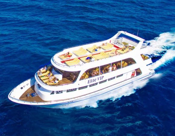 Marsa Alam: Sunset Snorkeling Trip with Turtles & Dugong