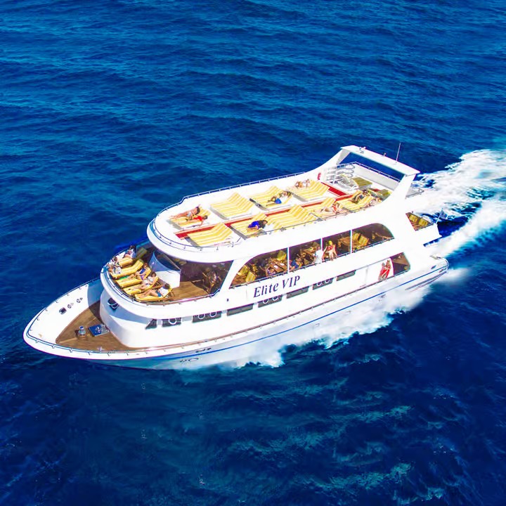 Marsa Alam Sunset Snorkeling Trip with Turtles and Dugong
